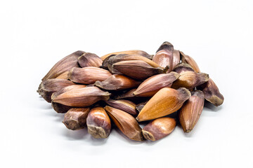 Brazilian pine nut seeds pile on isolated white background.
