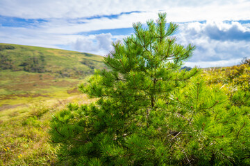 長野県諏訪市の霧ヶ峰を登山している風景 A view of climbing Kirigamine Peak in Suwa City, Nagano Prefecture.