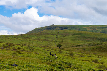 長野県諏訪市の霧ヶ峰を登山している風景 A view of climbing Kirigamine Peak in Suwa City, Nagano Prefecture.