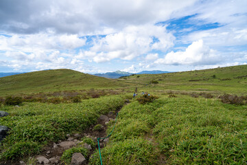 Obraz premium 長野県諏訪市の霧ヶ峰を登山している風景 A view of climbing Kirigamine Peak in Suwa City, Nagano Prefecture.