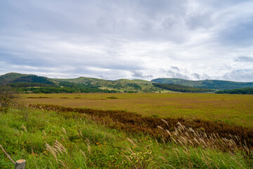 長野県諏訪市の霧ヶ峰を登山している風景