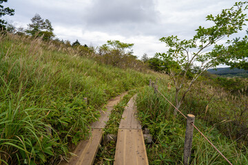 長野県諏訪市の霧ヶ峰を登山している風景