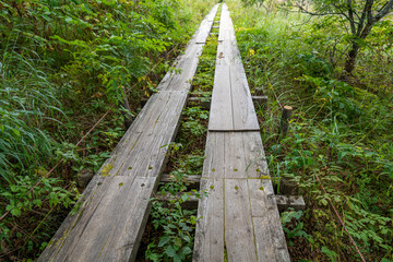 長野県諏訪市の霧ヶ峰を登山している風景