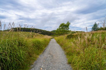 長野県諏訪市の霧ヶ峰を登山している風景