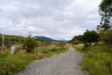 長野県諏訪市の霧ヶ峰を登山している風景