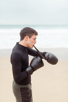 Boxer getting ready for training