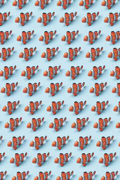Pattern of colored clownfish
