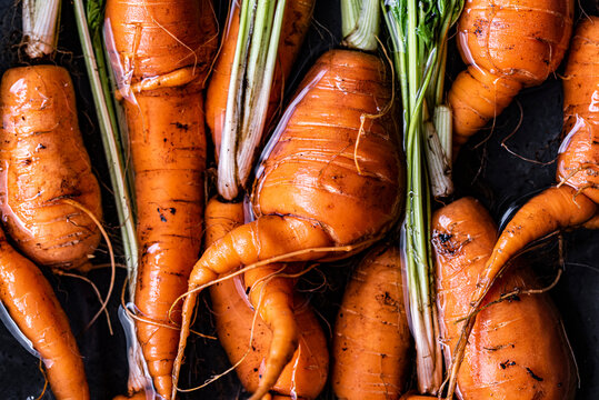 Organic Carrots