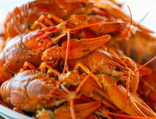 boiled red crayfish, natural protein food