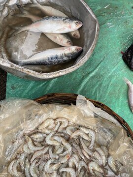 Top view of fishes piled for selling in local market