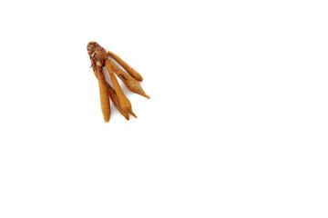 Finger root rhizome isolated on white