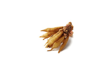 Finger root rhizome isolated on white