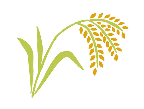 3 306 件の最適な 稲穂と新米 画像 ストック写真 ベクター Adobe Stock