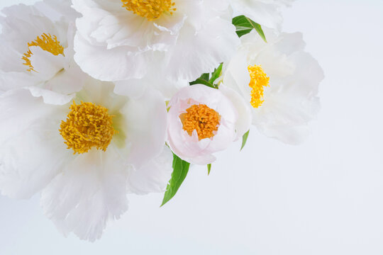 Pastel Peony floral bouquet