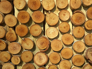 Circle wood in wall