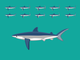 Animal Animation Sequence Blue Shark Cartoon Vector