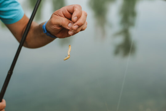 A man holding a maggot 