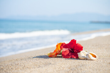 砂浜とハイビスカス