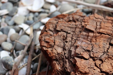 close up of a bark & stones 