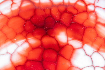 Red And White Dragon Vein Agate  
