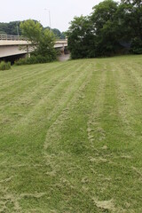 Obraz premium path in the park