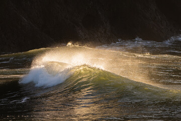 Backlit crashing wave in the Pacific Ocean on the Washington Coast