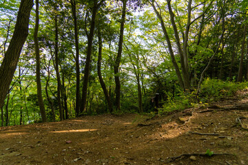東京都八王子市の陣馬山で登山をする風景 Scenery of climbing Mount Jinma in Hachioji City, Tokyo.