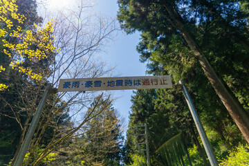 東京都八王子市の陣馬山で登山をする風景 Scenery of climbing Mount Jinma in Hachioji City, Tokyo.