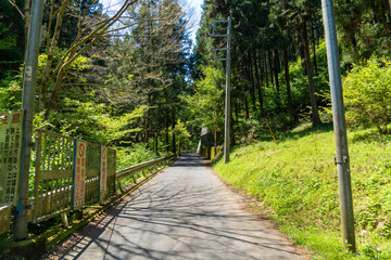 Fototapeta premium 東京都八王子市の陣馬山で登山をする風景 Scenery of climbing Mount Jinma in Hachioji City, Tokyo.