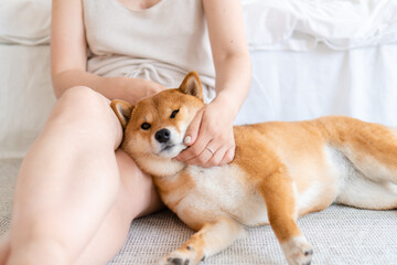 Woman petting dog