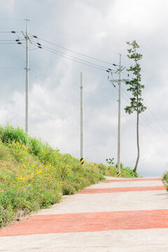 Red Striped Road