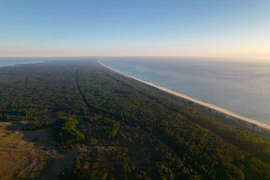 Forest Surrounded By Sea