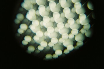 Abstract kaleidoscope light pattern