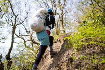神奈川県南足柄市の金時山で登山する女性 A woman climbs Mount Kintoki in Minami...
