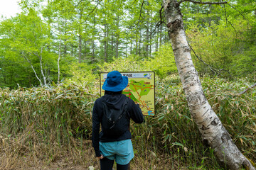 長野県伊那市の入笠山で登山とお花観賞を楽しんでいる女性 A woman enjoying mountain climbing and flower viewing at Mount Nyukasa in Ina City, Nagano Prefecture.