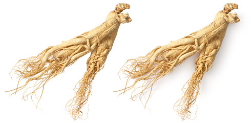 Two dried ginseng roots isolated on white background, top view