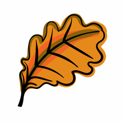 Hand drawn color vector Oak Leaf.