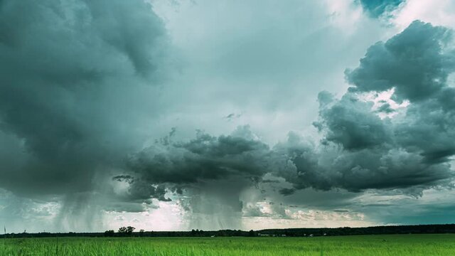 4K Rain Rainy Clouds Above Countryside Rural Field Landscape With Young Green Wheat Sprouts In Spring Summer Cloudy Day. Heavy Clouds Above Agricultural Field. Young Wheat Shoots 4K time-lapse