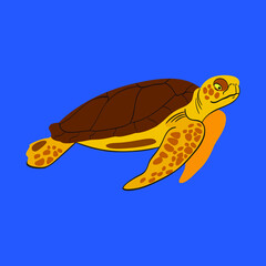 Turtle in the sea or ocean, beautiful blue background, vector illustration