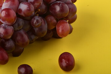 wine grapes.