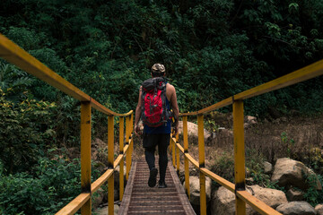 young hiker man crossing a bridge and carrying a red backpack surrounded by green bushes and trees...