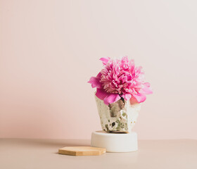Modern podium wooden geometric shapes stone green fresh plant flowers peony pastel pink background. Abstract background