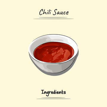 Chili Sauce Illustration Sketch And Vector Style. Good to use for restaurant menu, recipe book and food ingredients concept.