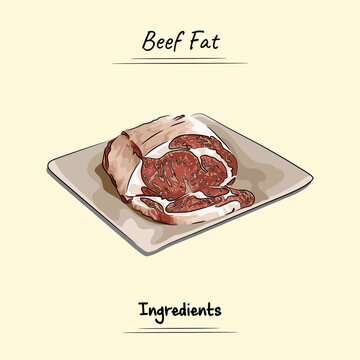 Beef Fat Illustration Sketch And Vector Style. Good to use for restaurant menu, recipe book and food ingredients concept.