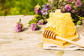Fresh honeycomb lies on a wooden bowl plate on a summer rural background with herbs. Floral fragrant sweet honey dessert