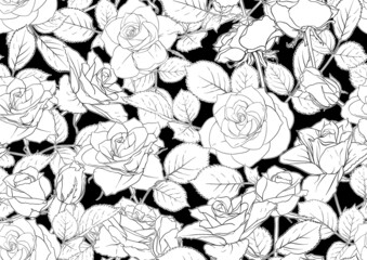 Seamless pattern with roses flowers. Colored vector illustration. In black and white colors