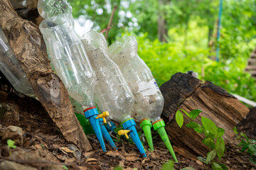 Obraz premium Modified plastic bottles for automatic watering of plants.