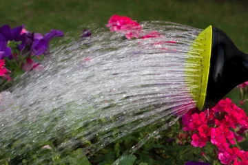 Deurstickers Garden watering © Holland-PhotostockNL