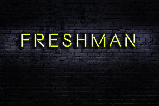 Neon sign. Word freshman against brick wall. Night view