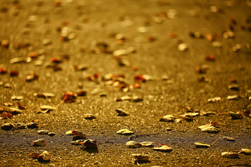 fallen leaves seasonal abstract background